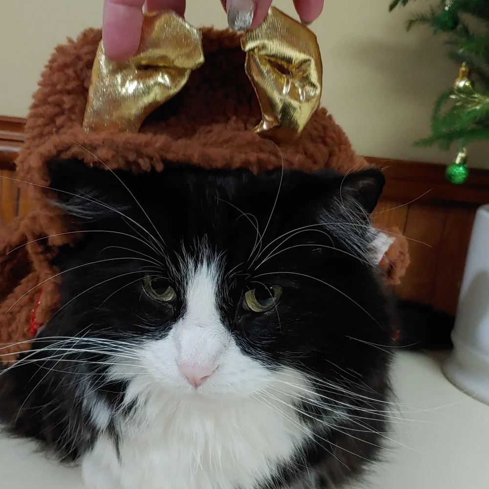 Pet Reindeer Costume XS-S HOST PICK TWICE